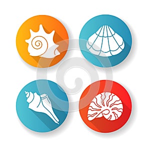 Various seashells flat design long shadow glyph icons set