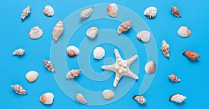 Various seashells and starfish on a pastel blue background. Beautiful summer beach banner. Top view, flat lay