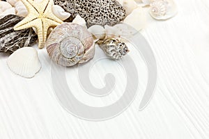 various seashells, starfish, and pebble on white wooden background