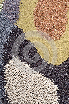 Various seed , peas, grass, millet, vetch