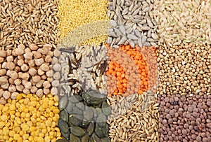 Various seeds and grains photo