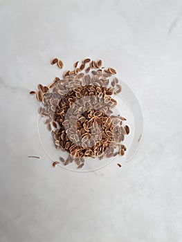 Various seeds. Picturesquely laid out on the table in a different order the seeds of dill. photo