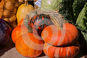 Various shapes and colors of pumpkins in a country fair