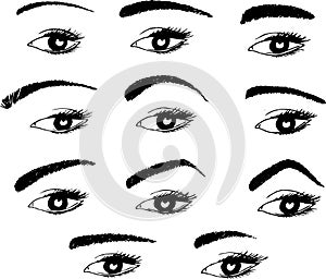 Various shapes of eyebrows