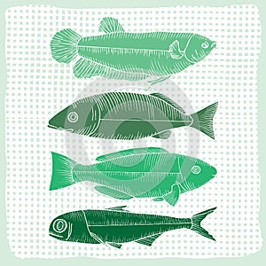 Various shapes of fish
