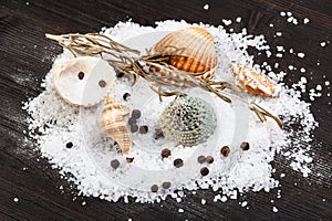 various shells and coarse grained Sea Salt