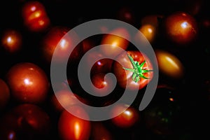 Various shiny  tomatoes on a dark background