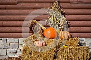 Pumpkins on Hay Bales with Corn Shucks photo