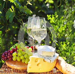 Various sorts of cheese, bread, grapes and two glasses of the white wine