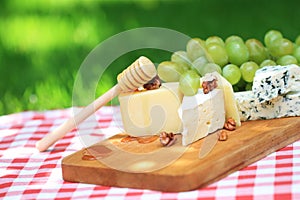 Various sorts of cheese and grapes