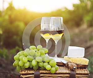 Various sorts of cheese, grapes and two glasses of white wine