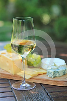 Various sorts of cheese, grapes and white wine