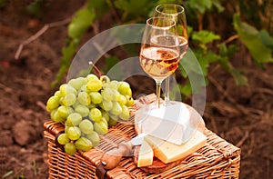 Various sorts of cheese, Two glasses of white wine in the garden