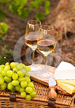 Various sorts of cheese, Two glasses of white wine in the garden