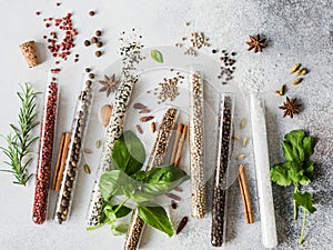 Various spices in glass test tubes and fresh herbs on gray background. Set of various spices and herbs