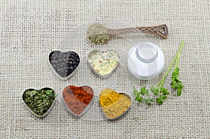 Various spices in heart chaped containers with salt and spoon
