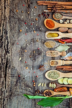 Various of spices and herbs in wooden spoons. Flat lay of spices