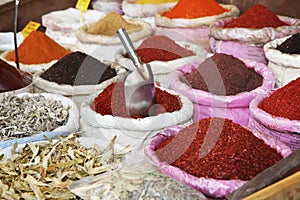 Various spices on the market