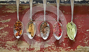 Various spices on silver spoons