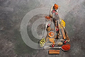 Various spices in spoons in the shape of a Christmas tree on a dark rustic background. Top view, flat lay, copy space