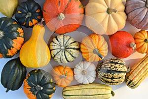 Various squashes and pumpkins