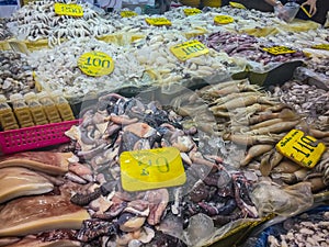 Various squid freshly caught for sale at the seafood market, Thailand