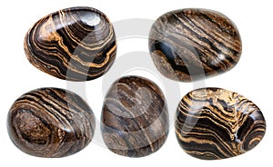 Various stromatolite stromatolith gemstones