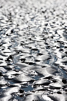 Various traces in mud flat photo