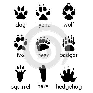 Various traces of wild animals design icon