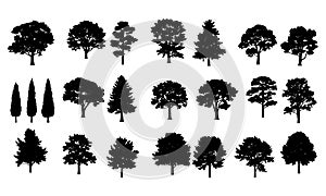 Various tree silhouettes collection including deciduous and evergreen trees graphic