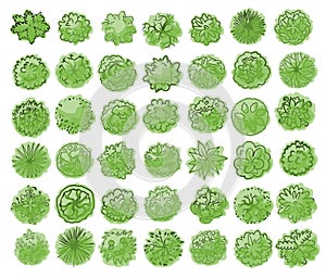 Various trees, bushes and shrubs, top view for landscape design plan. Vector illustration, isolated on white background.