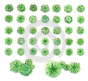 Various trees, bushes and shrubs, top view for landscape design plan. Vector illustration, isolated on white background.