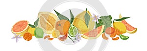 Various tropical citrus fruits. Fresh whole lemons, tangerine segments, orange slices, bergamot half, grapefruit, lime