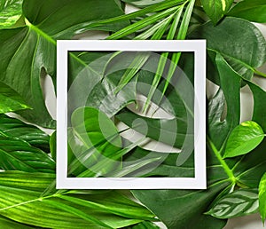 Various tropical leaves and white paper frame