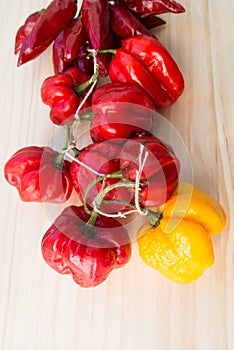 Various type of dried chili peppers