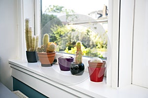 Various types of cactus on the white windowsill, modern interior home, various colors