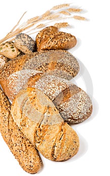 Various types of cereal bread