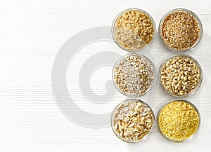 Various types of cereal grains
