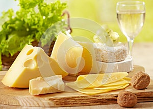 Various types of cheese