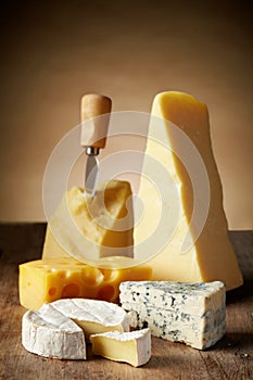 Various types of cheese