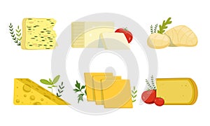 Various Types of Cheese Collection, Delicious Fresh Dairy Products Vector Illustration Isolated on White Background