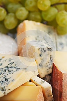 Various types of cheese composition