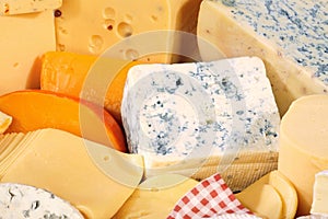 Various types of delicious cheese