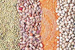 Various types of legumes