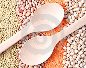 Various types of legumes