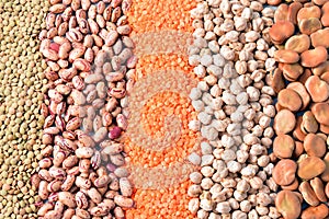 Various types of legumes