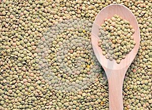 Various types of legumes