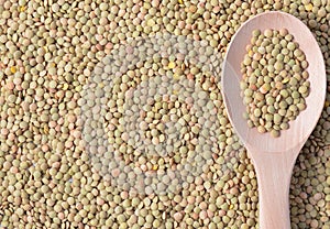 Various types of legumes