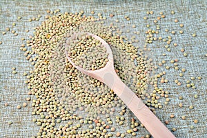 Various types of legumes