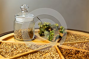 Various types of malting malt and a dried branch of hops on a wooden tray